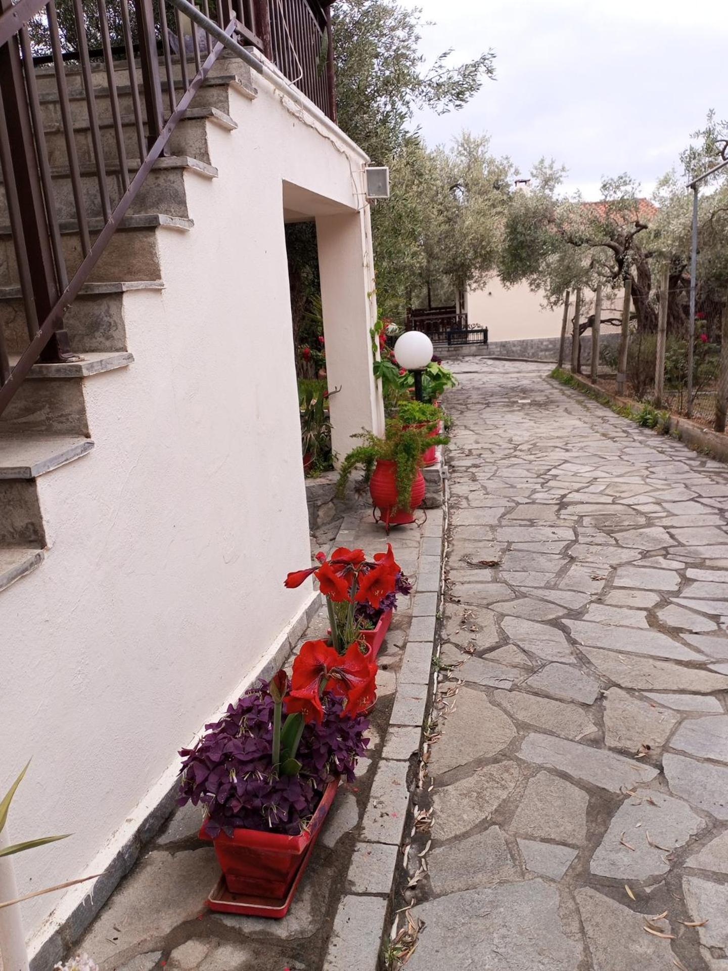 Villa Asimidou Agia Paraskevi  Exterior foto